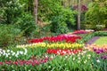 Tulips park Keukenhof - largest flower garden in Europe, Holland