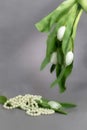 Tulips and pearls in grey background