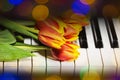 Tulips on the piano. The concept of romantic music and melodies Royalty Free Stock Photo