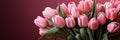 tulips on pink background, copy space Card for Mothers day, 8 March, Happy Easter. Waiting for spring Royalty Free Stock Photo