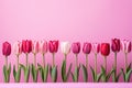 tulips on pink background, copy space Card for Mothers day, 8 March, Happy Easter. Waiting for spring Royalty Free Stock Photo