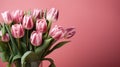 tulips on pink background, copy space Card for Mothers day, 8 March, Happy Easter. Waiting for spring Royalty Free Stock Photo