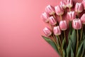 tulips on pink background, copy space Card for Mothers day, 8 March, Happy Easter. Waiting for spring