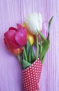 Tulips on a pink wooden background rustic