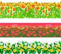 Tulips, poppy flowers, dandelions. Floral horizontal seamless patterns, backgrounds