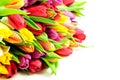 Tulips Rainbow Mixed Bunch