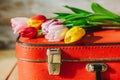 Tulips in red suitcase. wooden background