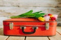 Tulips in red suitcase. wooden background