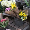 Tulips for sale in Columbia Road Flower Market Hackney London Royalty Free Stock Photo