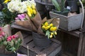 Tulips for sale in Columbia Road Flower Market Hackney London Royalty Free Stock Photo