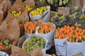 Tulips sale on easter sunday in Copenhagen Denamrk Royalty Free Stock Photo