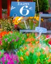 Tulips for sale on the Rue Cler Royalty Free Stock Photo