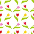 Tulips seamless pattern Royalty Free Stock Photo