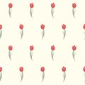 Tulips seamless pattern. Cute red tulips flowers. Royalty Free Stock Photo