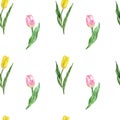 Tulips seamless pattern. Watercolor spring botanical background. Hand painted illustration