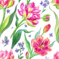 Tulips seamless pattern on a white background Royalty Free Stock Photo