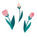 Tulips set of flowers. Spring flowers. Set of decorative floral design elements. Flat cartoon vector illustration Royalty Free Stock Photo