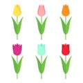 Tulips set icon. Flowers collection isolated on white background. Royalty Free Stock Photo