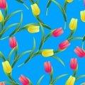 Tulips simless pattern2-01