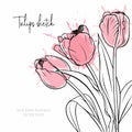 Tulips sketch. Spring flowers vector illustration. Royalty Free Stock Photo