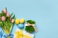 Tulips spring flowers easter eggs gift bunny on a blue background. Top view flat lay copy space Royalty Free Stock Photo