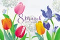 Tulips and spring flowers for 8 March vector greeting card Royalty Free Stock Photo