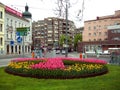 Tulips in square, Vienna, Austria