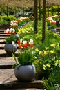 Tulips on stairs in the garden. Tulips in the pot. Royalty Free Stock Photo
