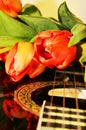 Tulips on the strings of a guitar Royalty Free Stock Photo