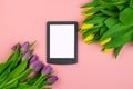 Tulips and tablet with white mockup screen on pink background. Greeting card for Easter or Women`s Day Royalty Free Stock Photo