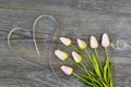 Tulips tinged with pink ribbon in the shape of a heart in white on a wooden vintage background Royalty Free Stock Photo