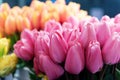 Tulips at the tulip stand of Pike Place Market, Seattle, Washington