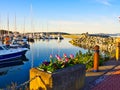 Tulips decorate the seaside walk in Sidney, Vancouver Island, British Columbia