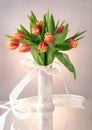 Tulips in vase