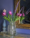 Tulips In A Vase. Isolated Royalty Free Stock Photo