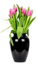 Tulips in a vase on a white background