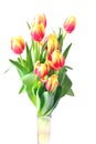 Tulips in vase. Yellow and red spring flowers.