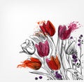 Tulips vector card simple splash colorful sketch