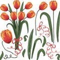 Tulips and elements on a white tulip vector background