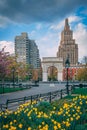 Tulips and Washington Square Arch, at Washington Square Park, in Lower Manhattan, New York City