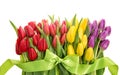 Tulips with water drops. Spring flowers red, pink, yellow