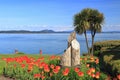 Tulips on Spring Day at Eastview Waterfront Park, Sidney, Vancouver Island, British Columbia, Canada Royalty Free Stock Photo