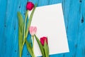 Tulips on a white wooden board Royalty Free Stock Photo