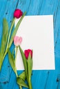 Tulips on a white wooden board