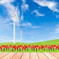 Tulips with wind turbine on green grass field against blue sky b Royalty Free Stock Photo