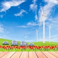 Tulips with wind turbine and solar panels on green grass field a