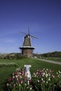 Tulips and windmill, Windmill Island Gardens, Holland, Michigan