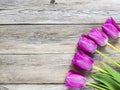 Tulips on a wood panels