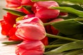 Tulips on wooden background close up