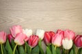 Tulips on wooden background